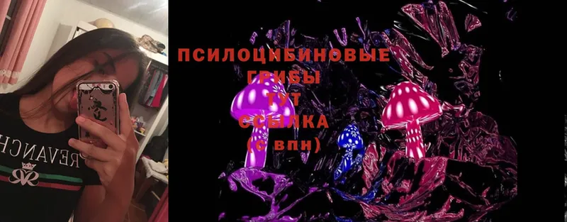 Галлюциногенные грибы Psilocybe  даркнет сайт  Калязин 